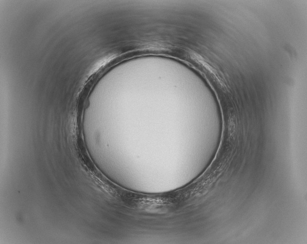 X0000115541315200911201731