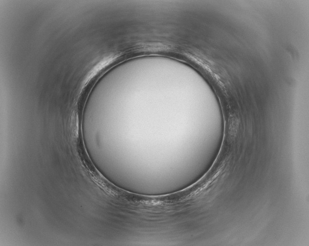 X0000115541317200911201731