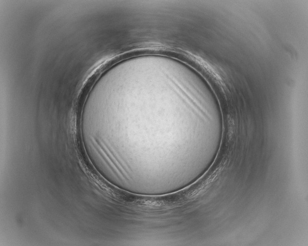 X0000115541318200911201732