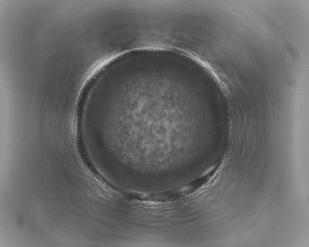 X0000115541319200911201732