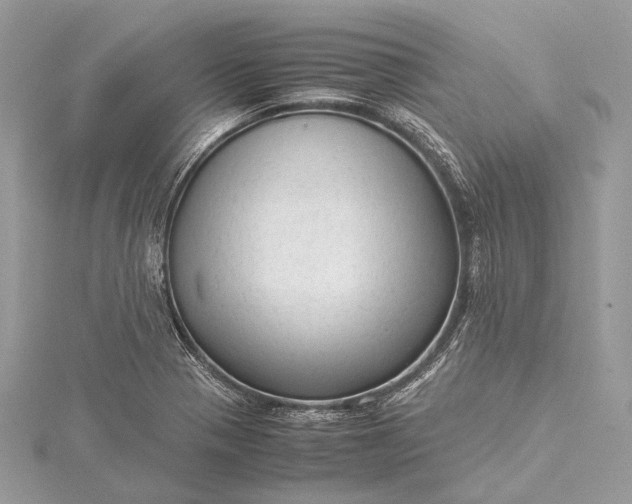 X0000115541321200911201732