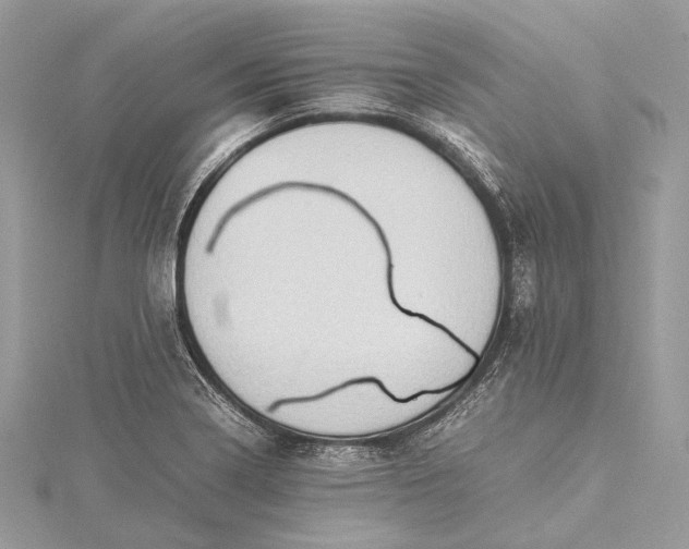 X0000115541322200911201732