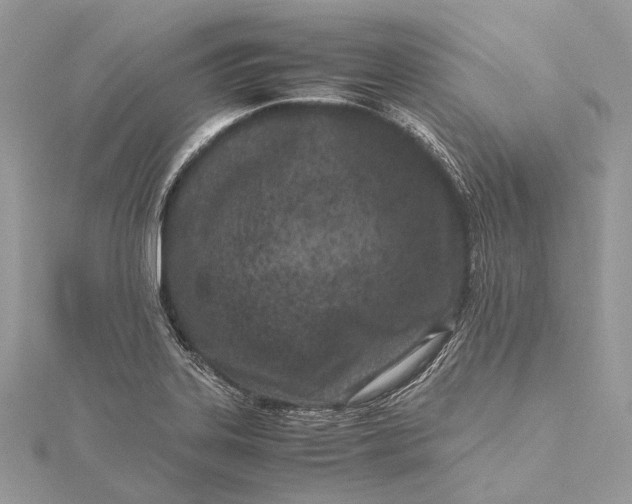 X0000115541323200911201732