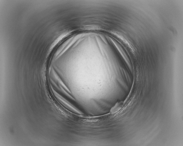 X0000115541325200911201732