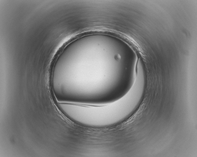 X0000115541326200911201732