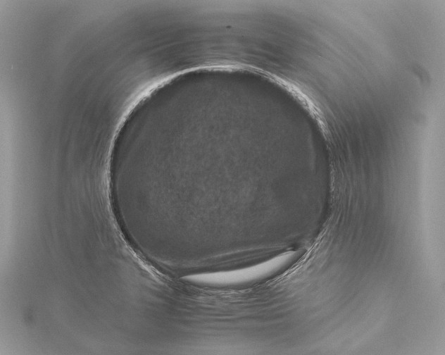 X0000115541327200911201732