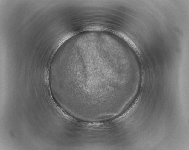 X0000115541329200911201732