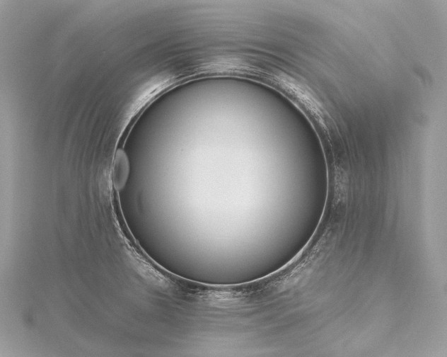 X0000115541330200911201732