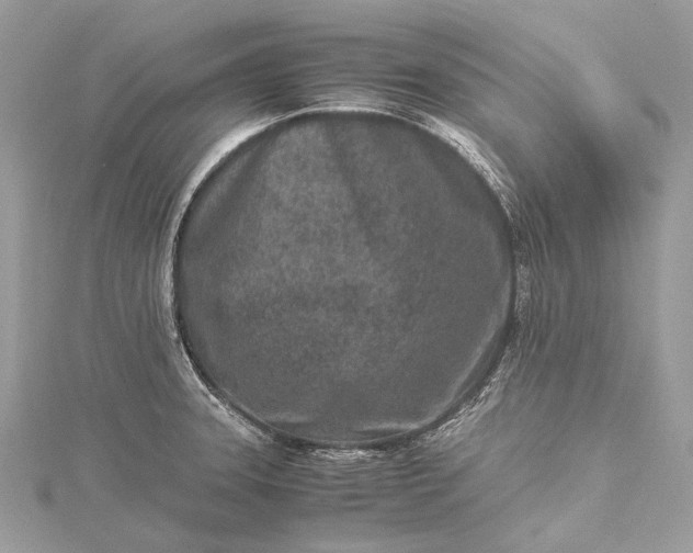 X0000115541331200911201732