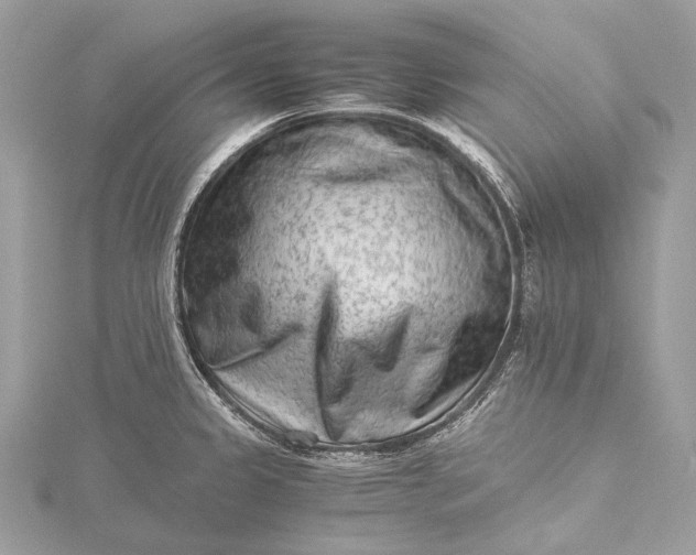 X0000115541333200911201732