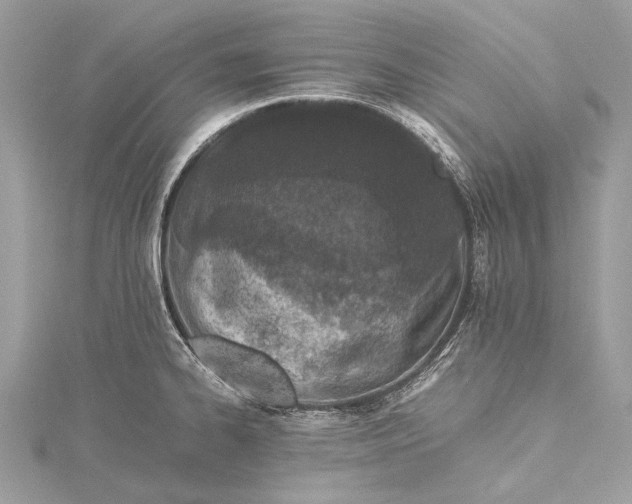 X0000115541334200911201732