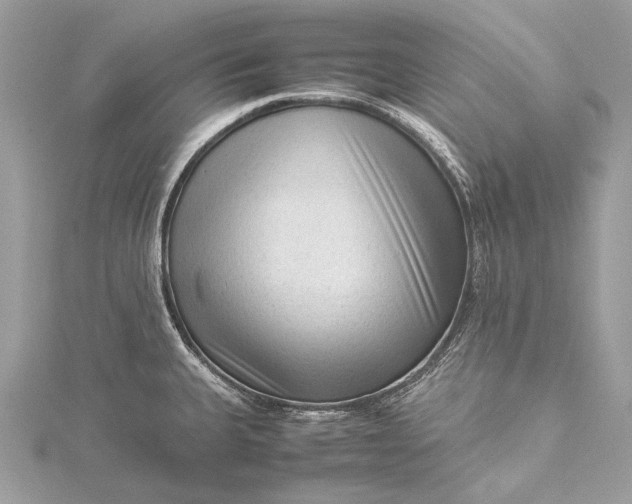 X0000115541335200911201732