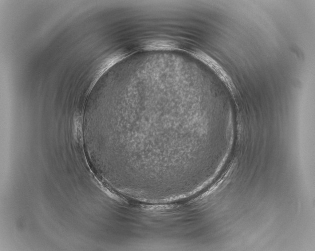 X0000115541337200911201732