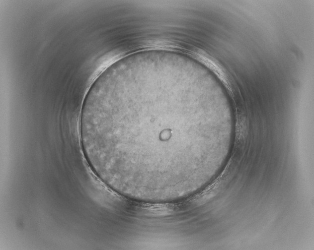 X0000115541338200911201732