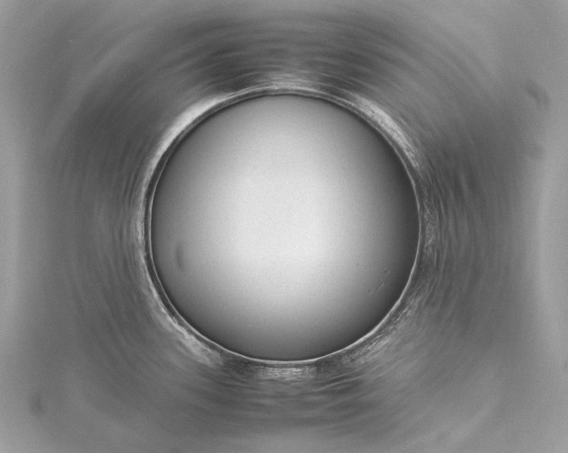 X0000115541339200911201732