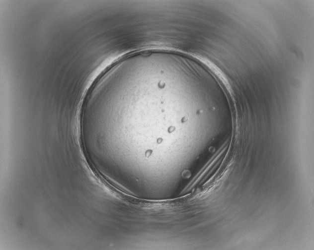 X0000115541341200911201732