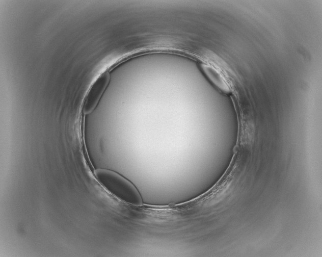 X0000115541342200911201732