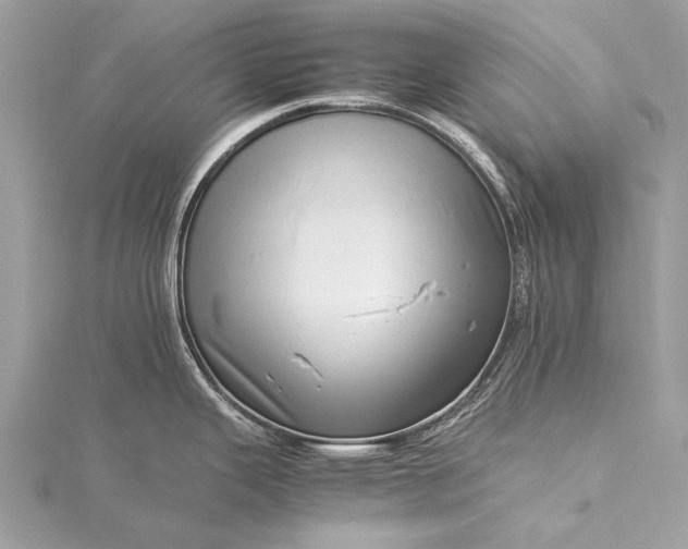 X0000115541343200911201732