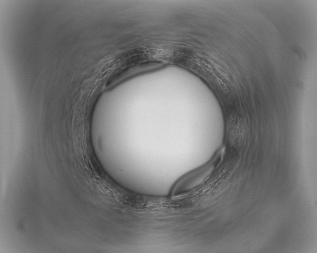 X0000115541345200911201731