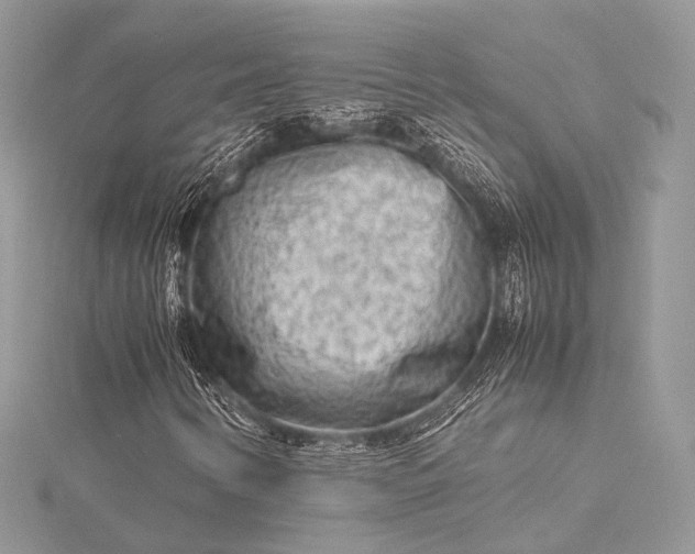 X0000115541346200911201731