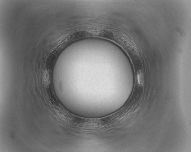 X0000115541347200911201731