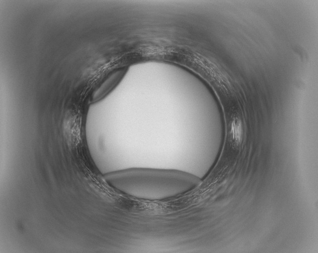 X0000115541348200911201731