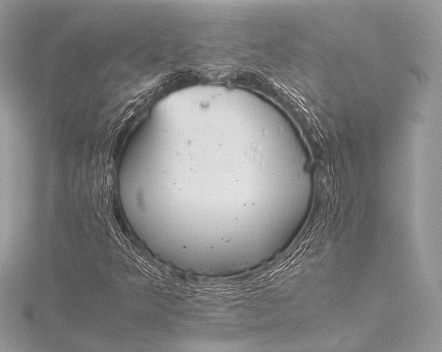 X0000115541349200911201731