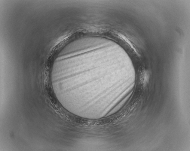 X0000115541350200911201731