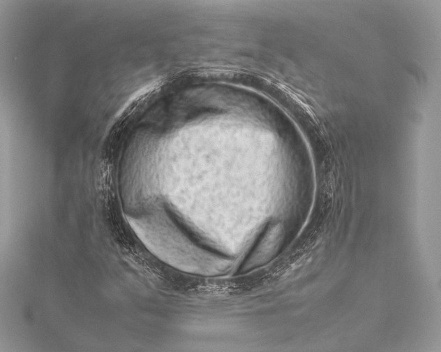 X0000115541351200911201731