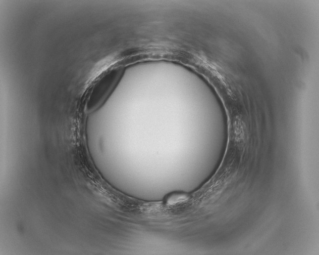 X0000115541352200911201731