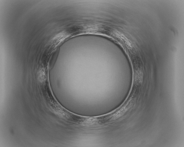 X0000115541353200911201731