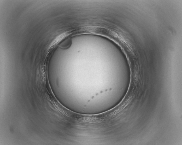 X0000115541354200911201731