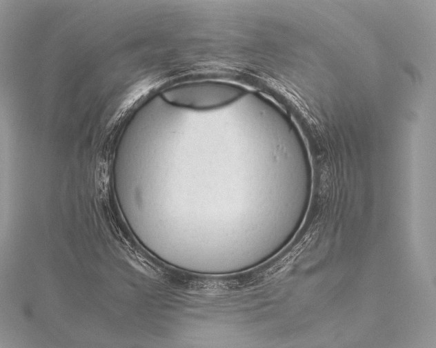 X0000115541355200911201731