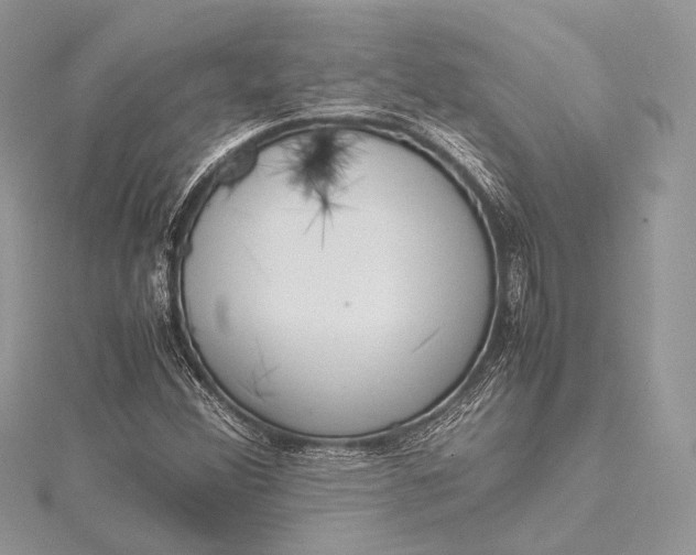 X0000115541356200911201731