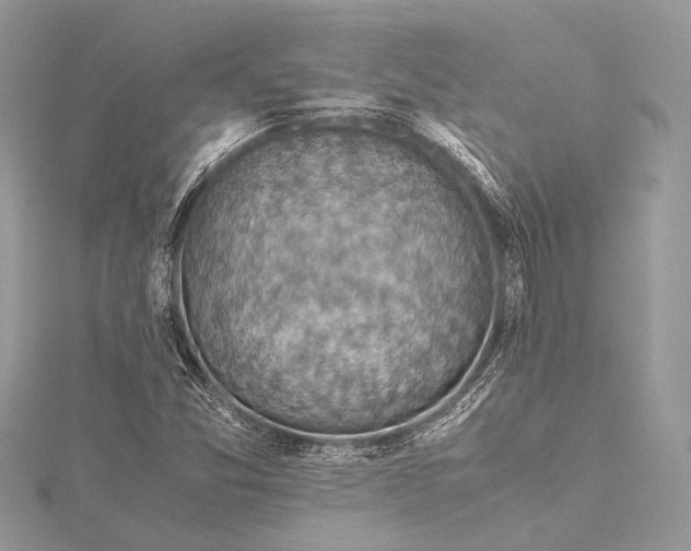 X0000115541357200911201731