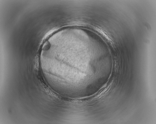 X0000115541358200911201731