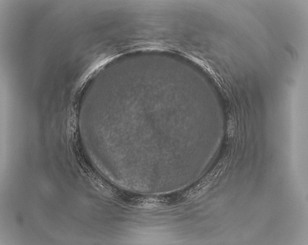 X0000115541359200911201731