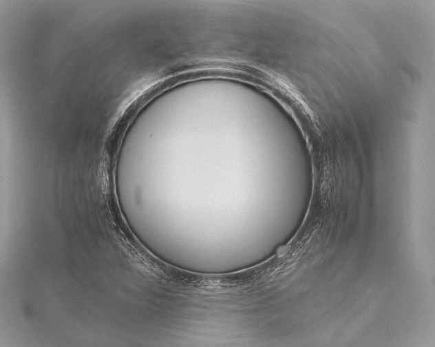 X0000115541360200911201731