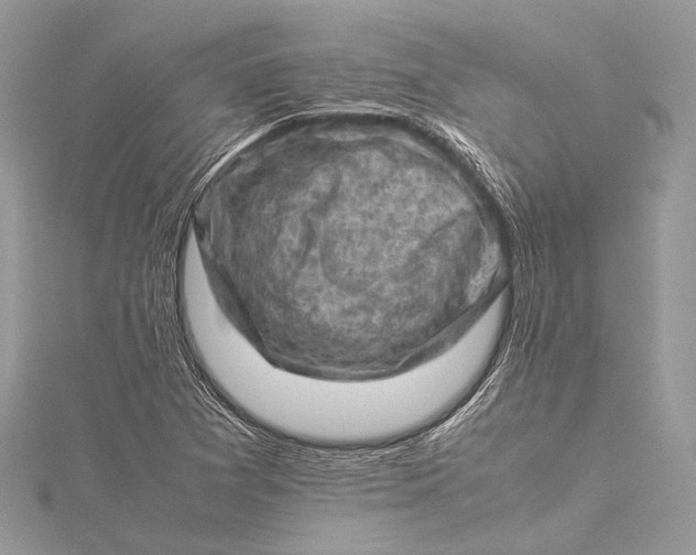 X0000115541361200911201731