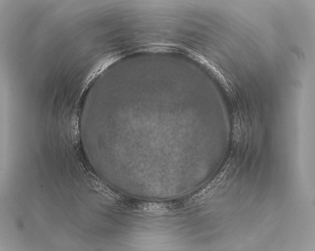 X0000115541362200911201731