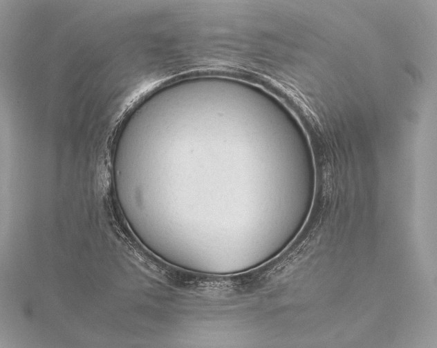 X0000115541363200911201731