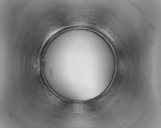 X0000115541364200911201731