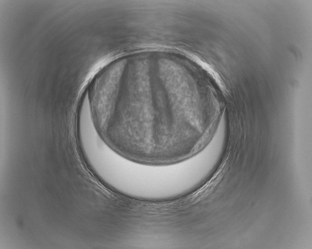 X0000115541365200911201731