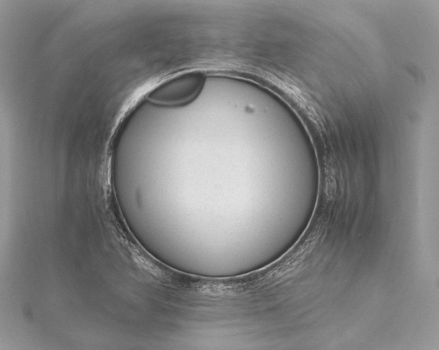 X0000115541366200911201731