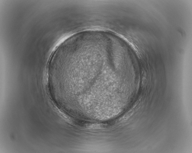 X0000115541367200911201731