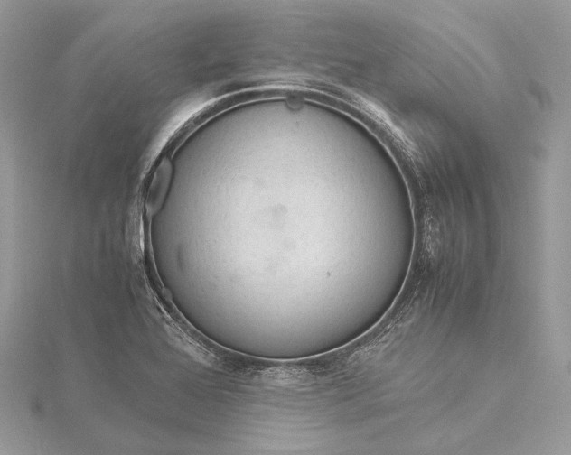 X0000115541368200911201731