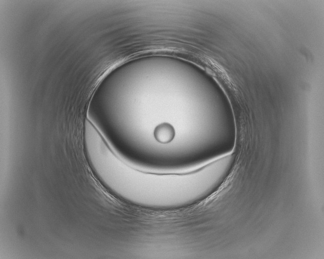 X0000115541369200911201731