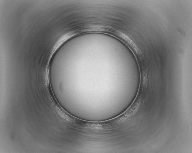 X0000115541370200911201731