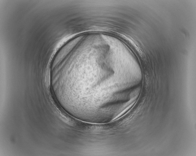 X0000115541371200911201731