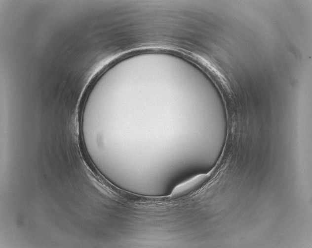 X0000115541372200911201731